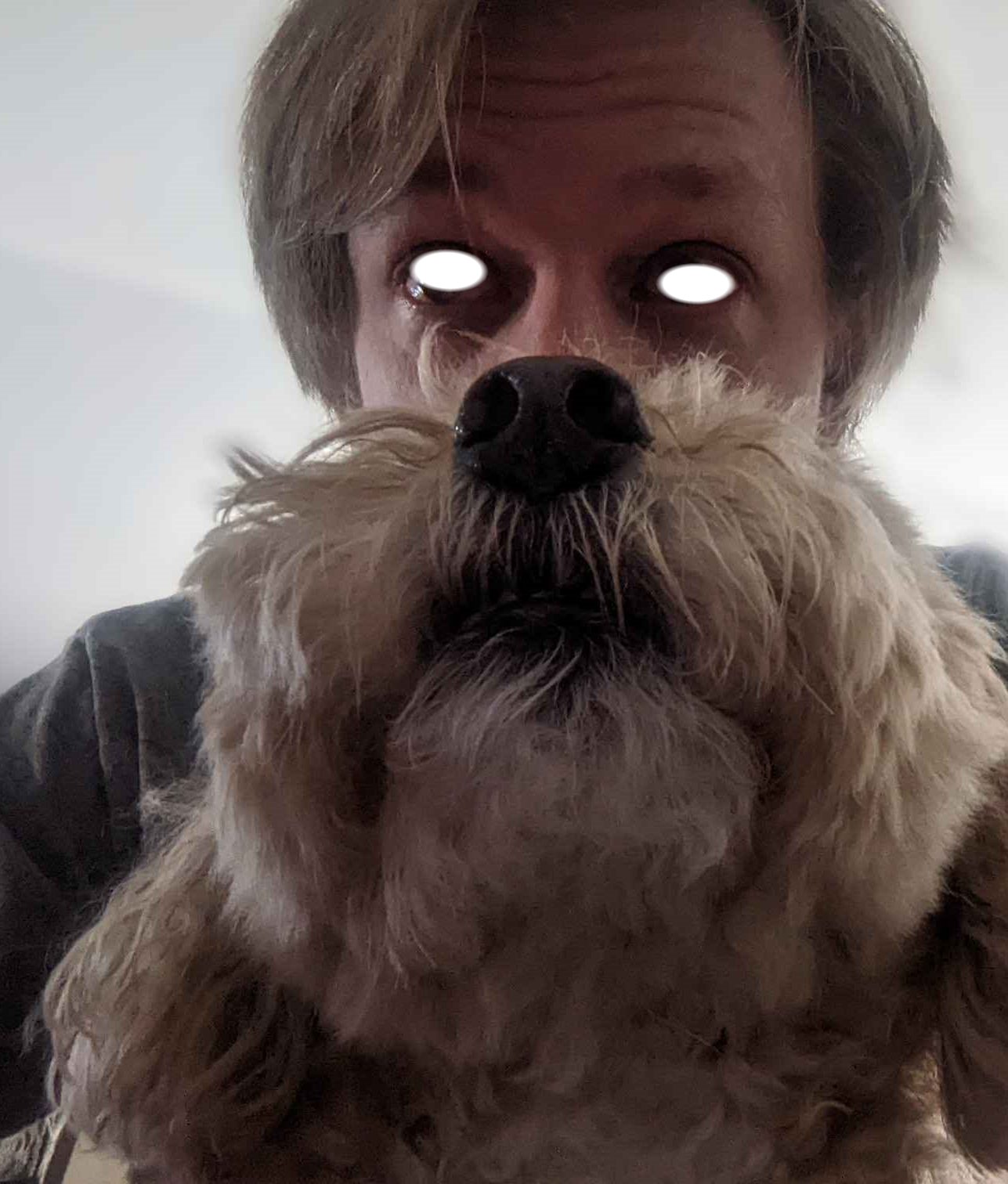 Henry Beard